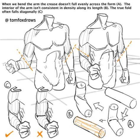 Tomfoxdraws On X Sketch Book Human Anatomy Drawing Anatomy Sketches