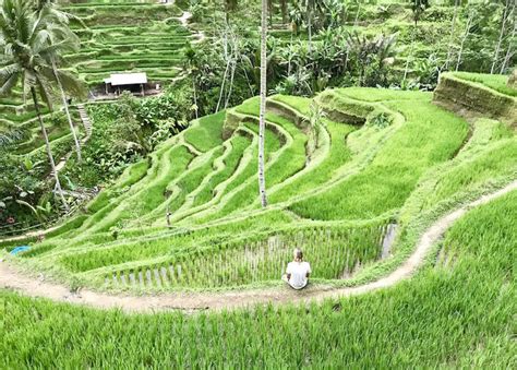 Bali Regenzeit Unsere Erfahrungen Tipps Zur Regenzeit Auf Bali