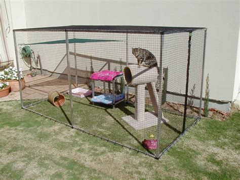 Safety Outdoors Cat Enclosures And Cages Purrfect Love