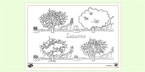 Seasons Colouring Page Primary School Teacher Made