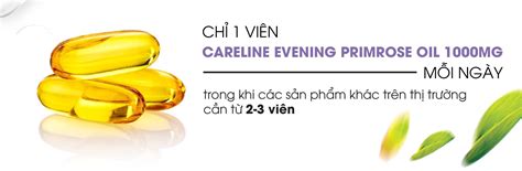 Viên uống tinh dầu hoa anh thảo Careline Evening Primrose Oil 100mg Lọ