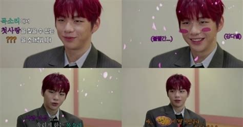 더 팬 강다니엘 깜짝 등장 첫사랑의 목소리 극찬한 예비스타는