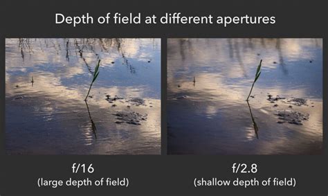 Understanding Aperture For Beginners Photography Basics