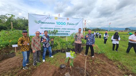 PGN Tanam 1000 Pohon Alpokat Rifai Di Agrowisata Kulonprogo Pilar ID