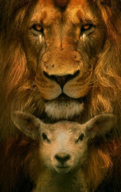 The Lion And The Lamb By Phatpuppyart Art Pinterest