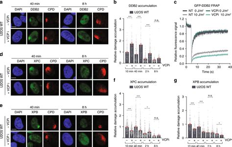 Ddb2 Retention Impairs Stable Xpc And Tfiih Damage Binding A