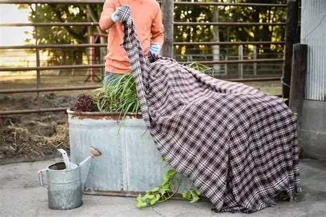 Gartentipps für Mai Welche wichtigen Gartenarbeiten stehen jetzt an