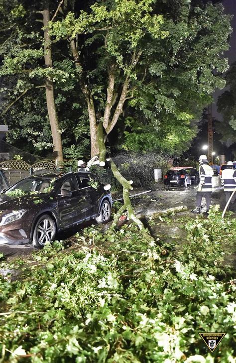 Unwetter über München Baum beschädigt Autos Feuerwehreinsatz in