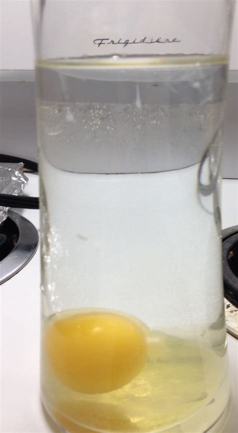 Egg Cleanse | The Wandering Healer Health and Wellness