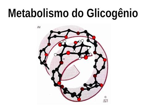 PPT Metabolismo do Glicogênio Um polissacarídio de reserva Em