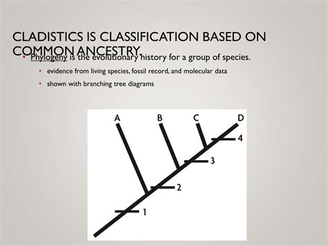 Ppt Classification And Diversity Powerpoint Presentation Free