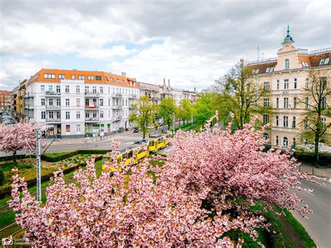 Du O Dzieje Si W Weekend W Szczecinie Masa Atrakcji Na Kwietnia