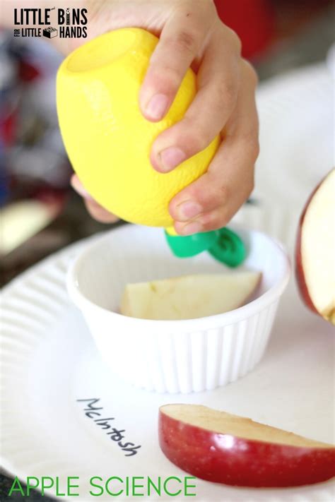 Apple Science Lemon Juice Experiment For Fall Stem