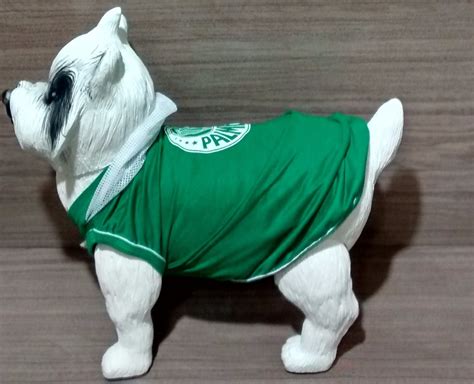 Roupinha Do Palmeiras Para Cachorro - Roupa Do Palmeiras Para Cachorro - RETOEDU