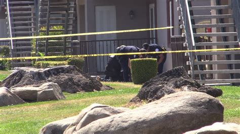 Woman Shot In The Head At A Fresno Apartment Complex Suspect Detained Fresno Bee