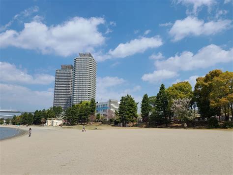 Odaiba Beach & Seaside Park Guide