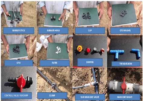 Main parts of drip and bubbler irrigation systems | Download Scientific Diagram