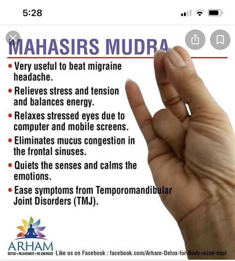 Pin by Ava Ciliberti on Mudras | Mudras, Healing yoga, Yoga benefits facts