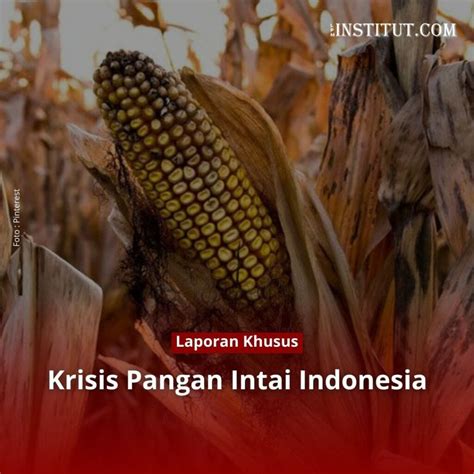 Krisis Pangan Intai Indonesia LPM INSTITUT