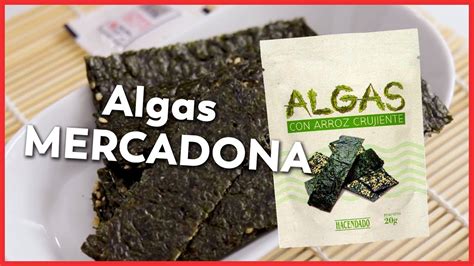 Descubre Los Innumerables Beneficios Del Alga Seca Mercadona En Tu