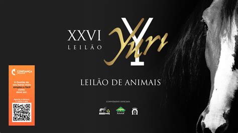 XXVI Leilão Haras Yuri Leilão de Animais YouTube