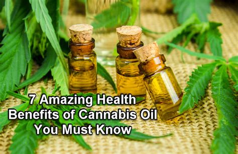 7 Amazing Health Benefits of Cannabis Oil You Must Know