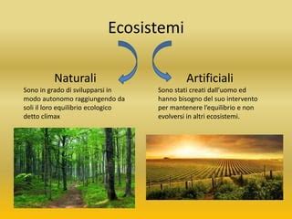 I Principali Ecosistemi Della Sicilia Ppt