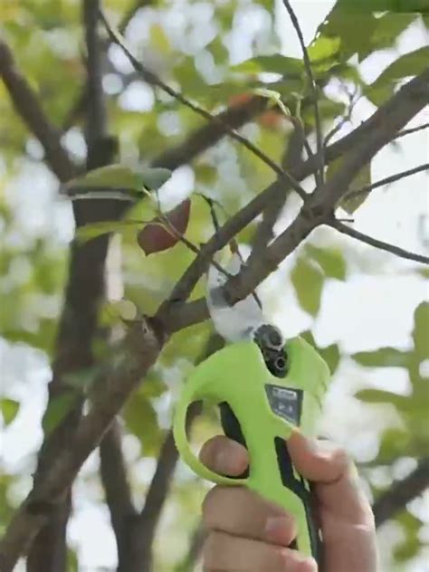 Pruning Shear Battery Powered Electric Pruner Shears Cordless Portable