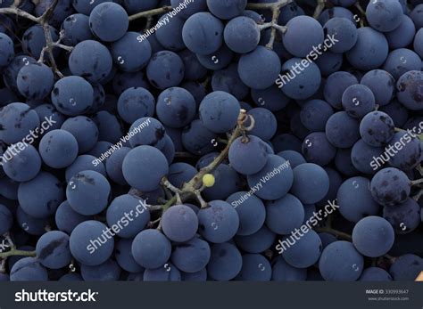 Red Wine Grapes Background Stock Photo 330993647 | Shutterstock