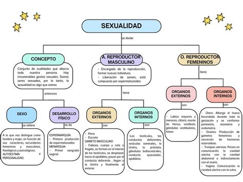 Mapa Sobre Sexualidad Nicoll Zapata Udocz