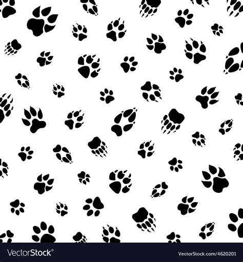 Animal footprint pattern Royalty Free Vector Image