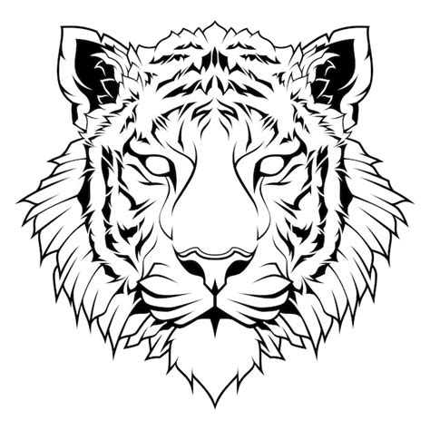 Tiger Head Drawing