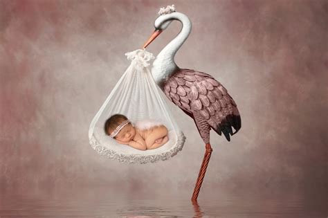 Pin On Newborn Photography Props