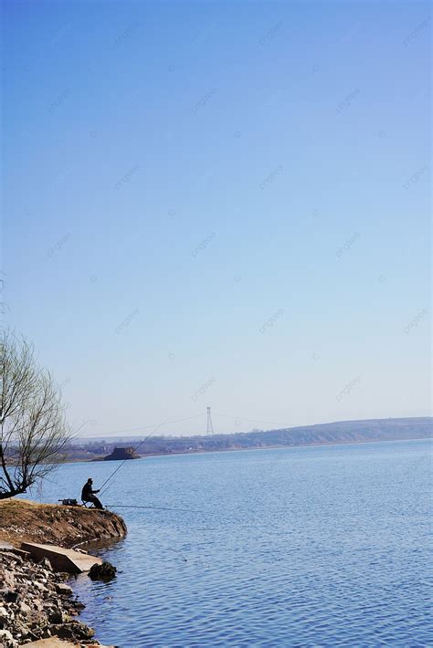 Spring Natural Scenery Park Scenery Lotus Pond Background Spring