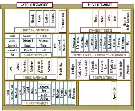 La Santidad Como Tarea Divisiones Y Partes De La Biblia