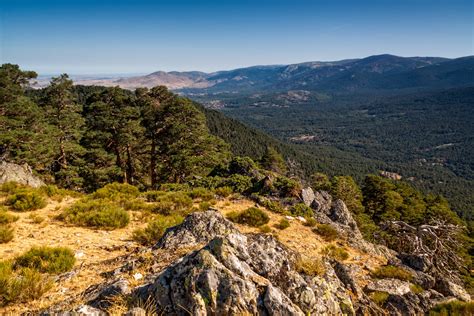 Guadarrama National Park Private Hiking Tour From Madrid Tourist Journey