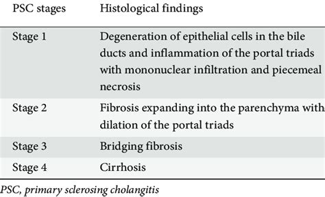 Primary Sclerosing Cholangitis Histology