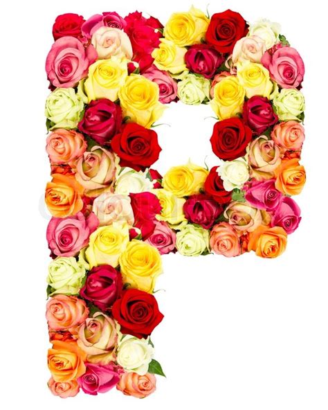 P Roses Flower Alphabet Isolated On Stock Image Colourbox