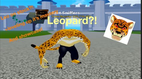 Leopard On Stock Roblox Blox Fruit YouTube