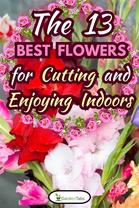 The 13 Best Flowers For Cutting And Enjoying Indoors