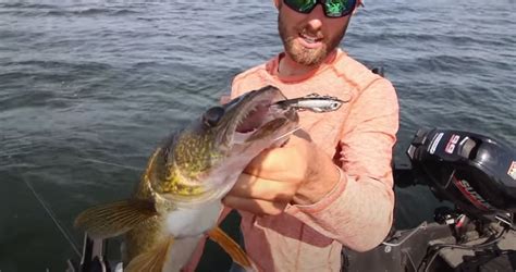 How To Catch Late Summer Walleye Fishing Digital