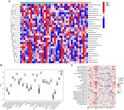 Frontiers Bioinformatics And System Biology Approach To Identify