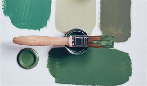 How To Make Sage Green Paint A Step By Step Guide NylaHome