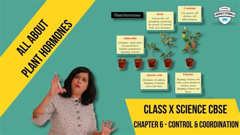 Class X Science Exploring Plant Hormones Class X Science Chapter