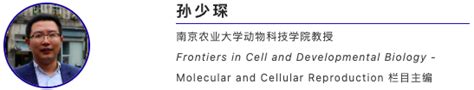 科学网—主编荐读 Front Cell Dev Biol 论文精选（中） Frontiers开放获取的博文