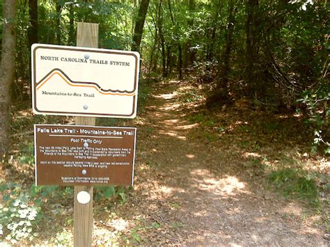 Another Runner: Trail Review: Falls Lake Trail - Section 1