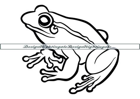 Cute Frog SVG Frog Outline SVG Frog Svg Frog Clipart Frog - Etsy