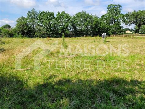 Terrain Vendre Sur Soual Maisons Terre D Oc