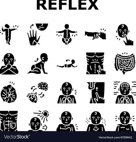 Reflex Of Human Neurology System Icons Set Vector Image