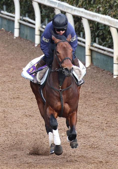 ダノンザキッド坂路で万全の仕上げ、安田隆師「しっかり調教していい状態」／中山記念 競馬写真ニュース 日刊スポーツ